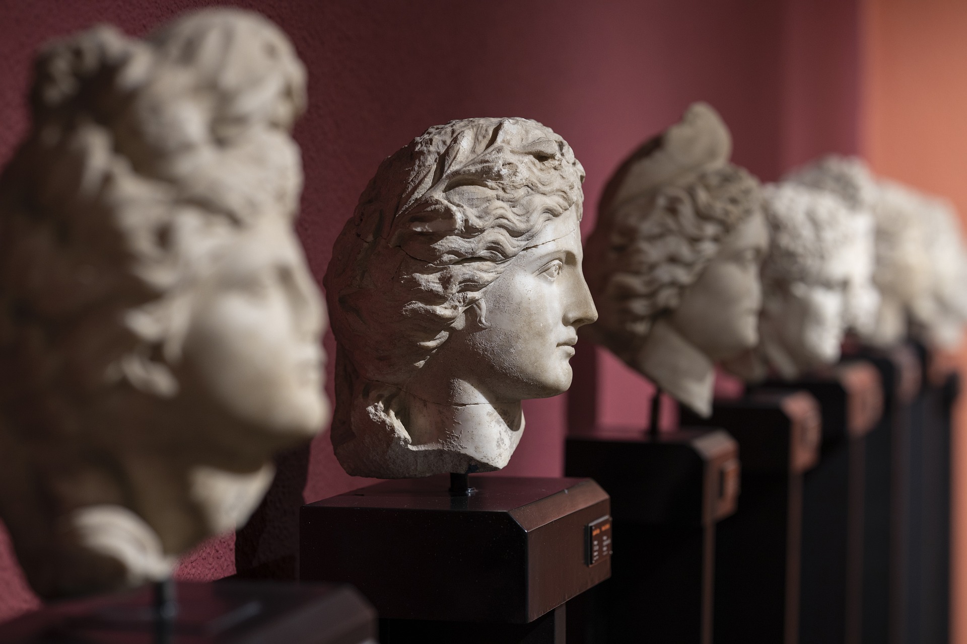 Bust